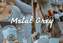 Metal Grey Preset by Erno Ybañez free DNG file download