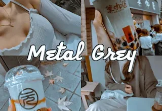 Metal Grey Preset by Erno Ybañez free DNG file download